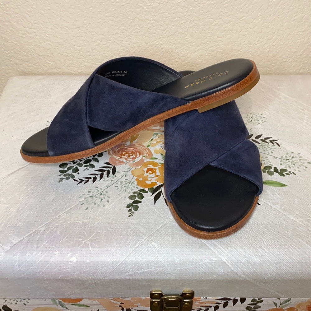 Cole Haan navy blue leather sandals.